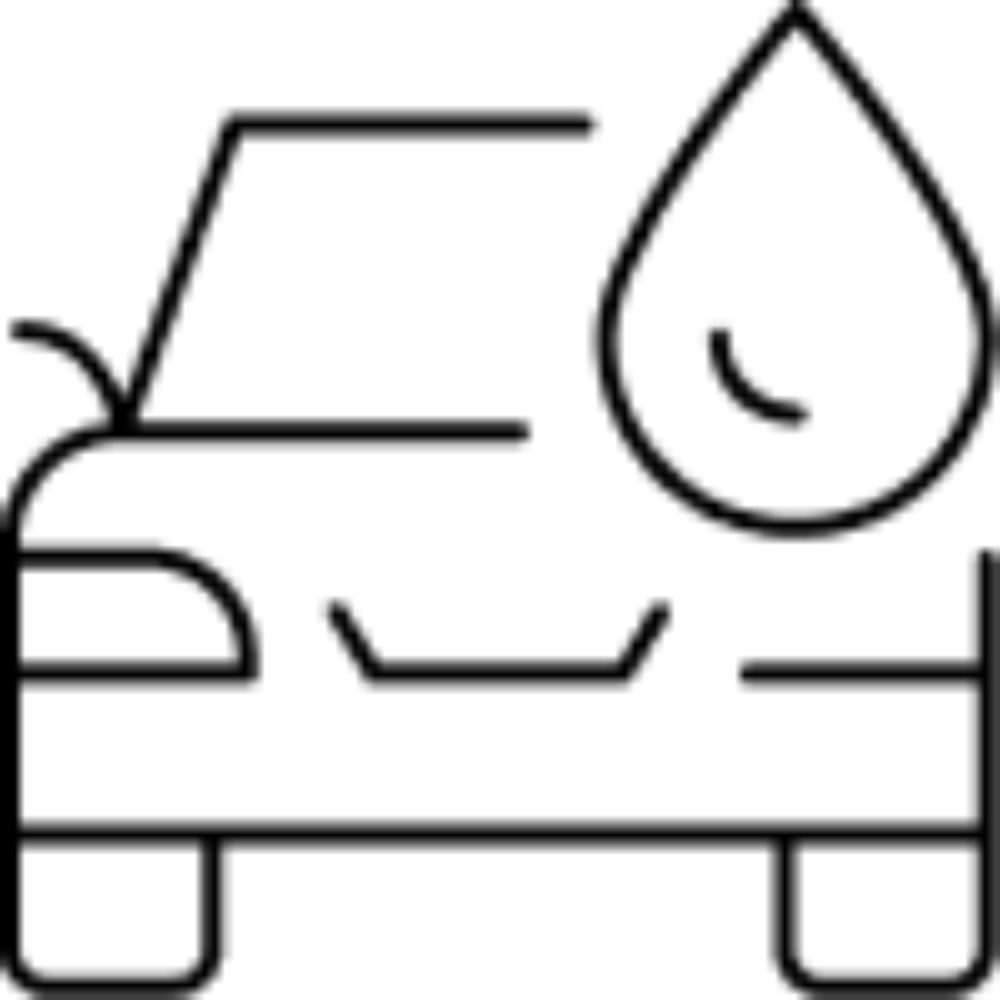 autopraonica